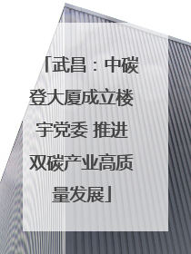 武昌：中碳登大厦成立楼宇党委 推进双碳产业高质量发展