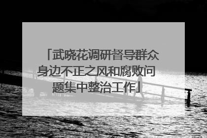 武晓花调研督导群众身边不正之风和腐败问题集中整治工作