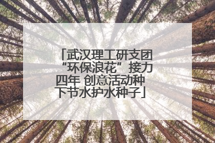 武汉理工研支团“环保浪花”接力四年 创意活动种下节水护水种子