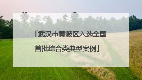 武汉市黄陂区入选全国首批综合类典型案例