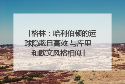 格林：哈利伯顿的运球隐蔽且高效 与库里和欧文风格相似