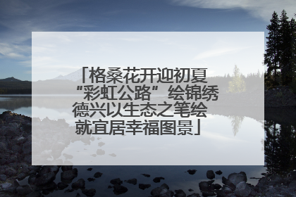 格桑花开迎初夏 “彩虹公路”绘锦绣 德兴以生态之笔绘就宜居幸福图景