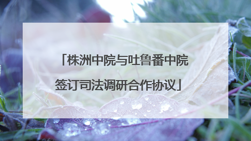 株洲中院与吐鲁番中院签订司法调研合作协议