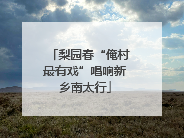 梨园春“俺村最有戏”唱响新乡南太行