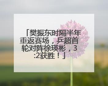 樊振东时隔半年重返赛场，乒超首轮对阵徐瑛彬，3:2获胜！