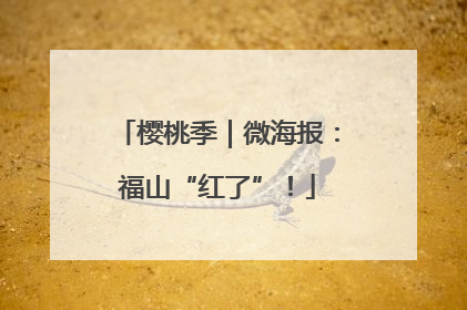 樱桃季｜微海报：福山“红了”！