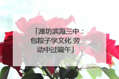 潍坊滨海三中：包粽子学文化 劳动中过端午
