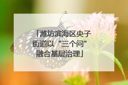 潍坊滨海区央子街道以“三个问”融合基层治理