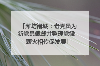 潍坊诸城：老党员为新党员佩戴并整理党徽 薪火相传促发展