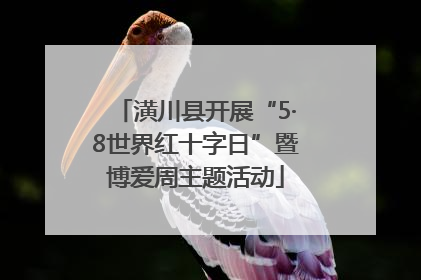 潢川县开展“5·8世界红十字日”暨博爱周主题活动