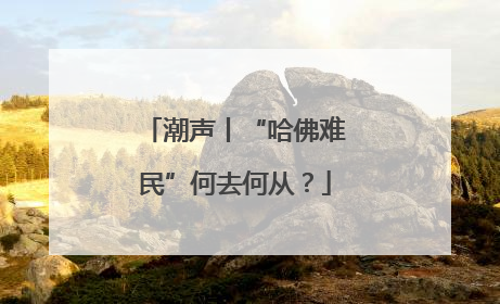 潮声丨“哈佛难民”何去何从？