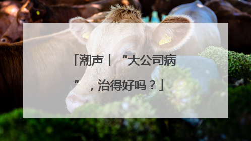 潮声丨“大公司病”，治得好吗？