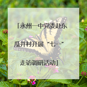 永州一中党委赴东瓜井村开展“七一”走访调研活动