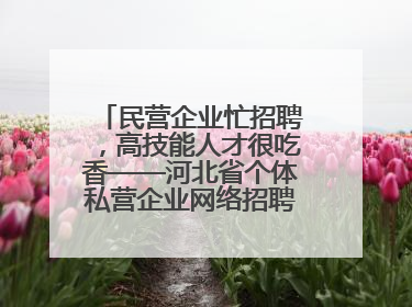 民营企业忙招聘，高技能人才很吃香——河北省个体私营企业网络招聘大会扫描