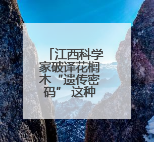 江西科学家破译花榈木“遗传密码” 这种珍贵的树 “才貌双全”还能抗“EMO”