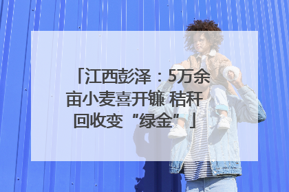 江西彭泽：5万余亩小麦喜开镰 秸秆回收变“绿金”
