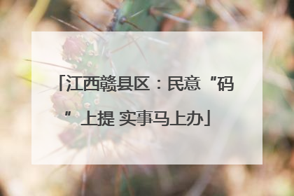江西赣县区：民意“码”上提 实事马上办