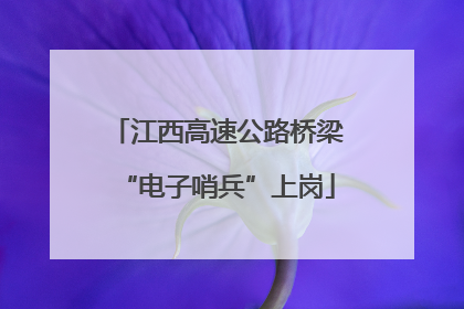 江西高速公路桥梁“电子哨兵”上岗