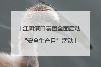 江阴港口集团全面启动“安全生产月”活动