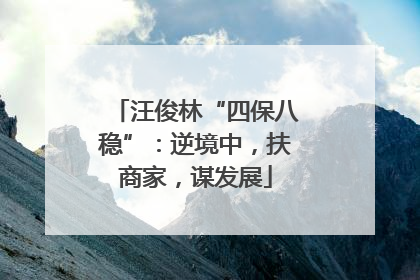 汪俊林“四保八稳”：逆境中，扶商家，谋发展