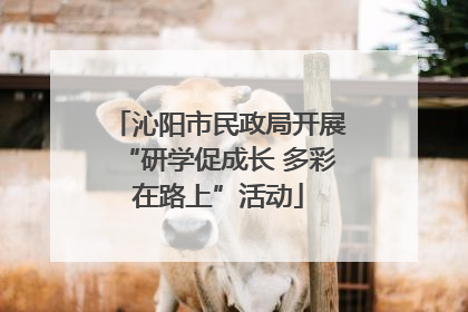 沁阳市民政局开展“研学促成长 多彩在路上”活动