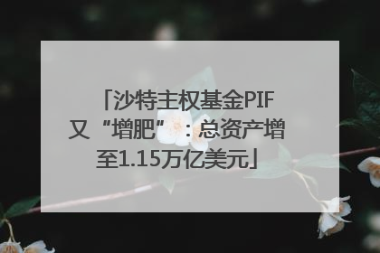 沙特主权基金PIF又“增肥”：总资产增至1.15万亿美元