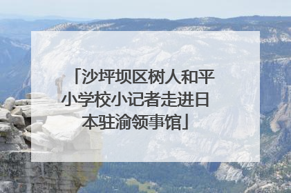 沙坪坝区树人和平小学校小记者走进日本驻渝领事馆