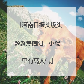 河南日报头版头题聚焦信阳｜小院里有高人气