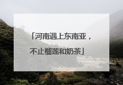 河南遇上东南亚，不止榴莲和奶茶