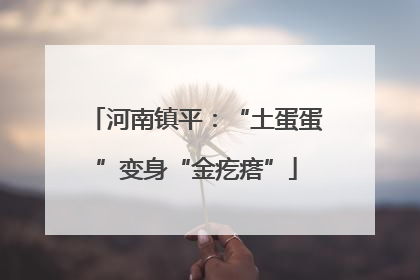 河南镇平：“土蛋蛋”变身“金疙瘩”