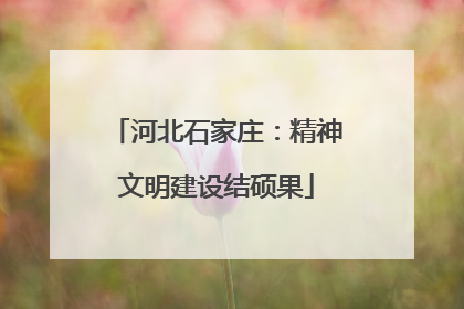 河北石家庄：精神文明建设结硕果