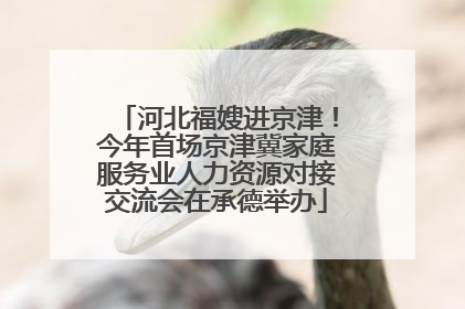 河北福嫂进京津！今年首场京津冀家庭服务业人力资源对接交流会在承德举办