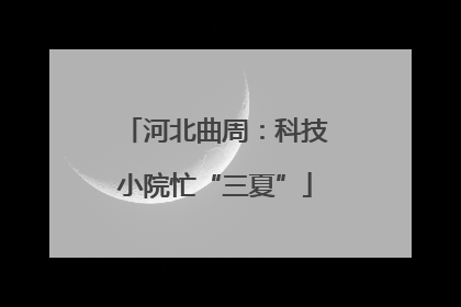 河北曲周：科技小院忙“三夏”