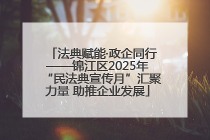 法典赋能·政企同行——锦江区2025年“民法典宣传月”汇聚力量 助推企业发展