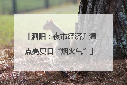 泗阳：夜市经济升温 点亮夏日“烟火气”