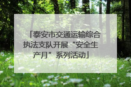 泰安市交通运输综合执法支队开展“安全生产月”系列活动