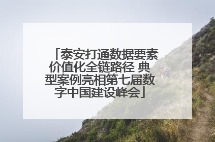 泰安打通数据要素价值化全链路径 典型案例亮相第七届数字中国建设峰会