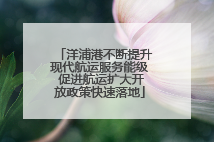 洋浦港不断提升现代航运服务能级 促进航运扩大开放政策快速落地