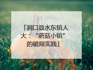 洞口县水东镇人大：“蘑菇小镇”的破局实践
