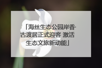 海丝生态公园岸香·古渡居正式迎客 激活生态文旅新动能