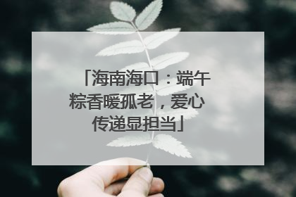 海南海口：端午粽香暖孤老，爱心传递显担当