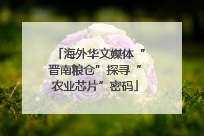 海外华文媒体“晋南粮仓”探寻“农业芯片”密码
