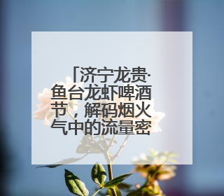 济宁龙贵·鱼台龙虾啤酒节，解码烟火气中的流量密码
