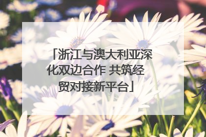 浙江与澳大利亚深化双边合作 共筑经贸对接新平台