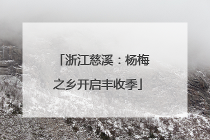 浙江慈溪：杨梅之乡开启丰收季