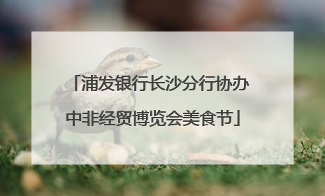 浦发银行长沙分行协办中非经贸博览会美食节