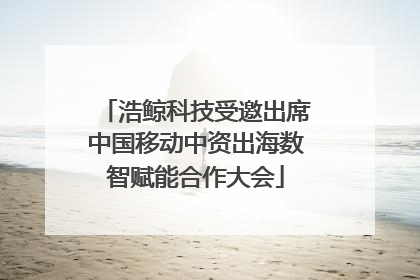 浩鲸科技受邀出席中国移动中资出海数智赋能合作大会