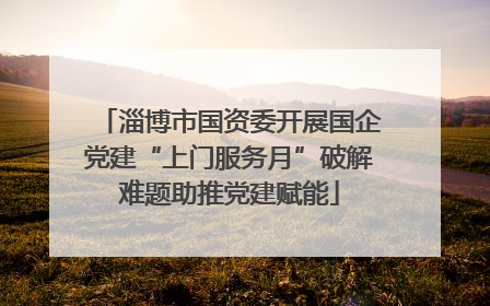 淄博市国资委开展国企党建“上门服务月”破解难题助推党建赋能