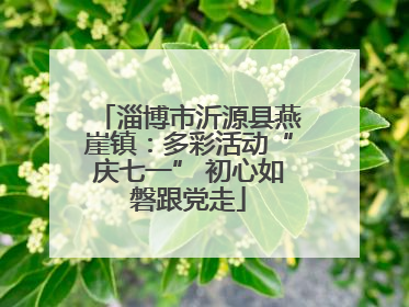 淄博市沂源县燕崖镇：多彩活动“庆七一” 初心如磐跟党走