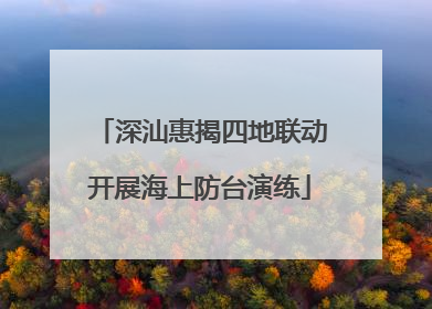 深汕惠揭四地联动开展海上防台演练